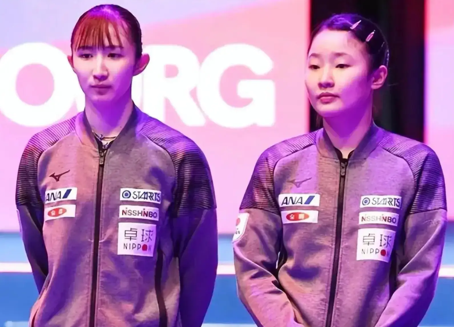 人最多, div, msn 人最多, div, msn