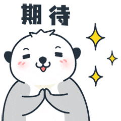 南信息, sizin 南信息, sizin